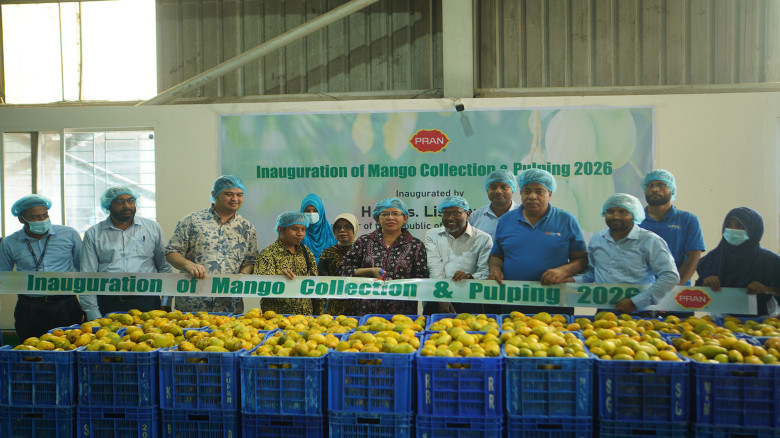 PRAN begins mango collection