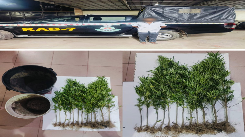 RAB arrests 1 for cultivating marijuana in rooftop tubs in C