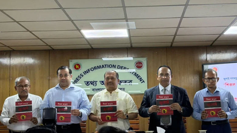 Govt seeks institutional framework to safeguard democracy: S