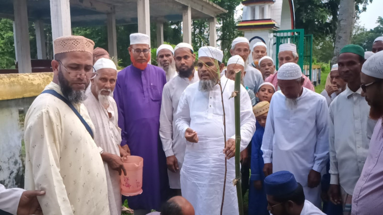 ফজলুর রহমান সাঈদ সদর উপজেলায় ২ হাজার ৫শফলজ ও বনজ বৃক্ষের চার