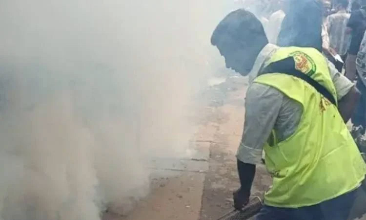 Govt boosts dengue control as experts urge destroying breeding grounds