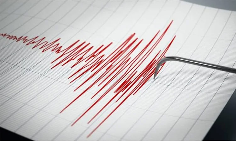 Magnitude 7.2 quake off Vanuatu triggers tsunami warning: US