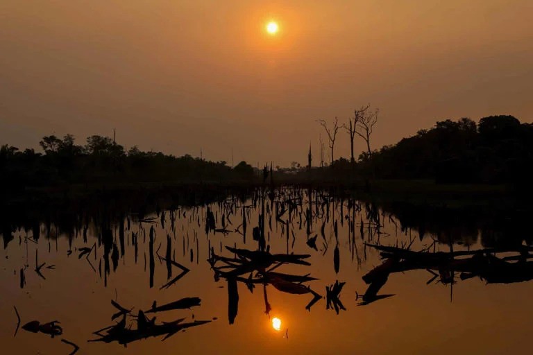 El Nino Watch: the impacts around the world this week