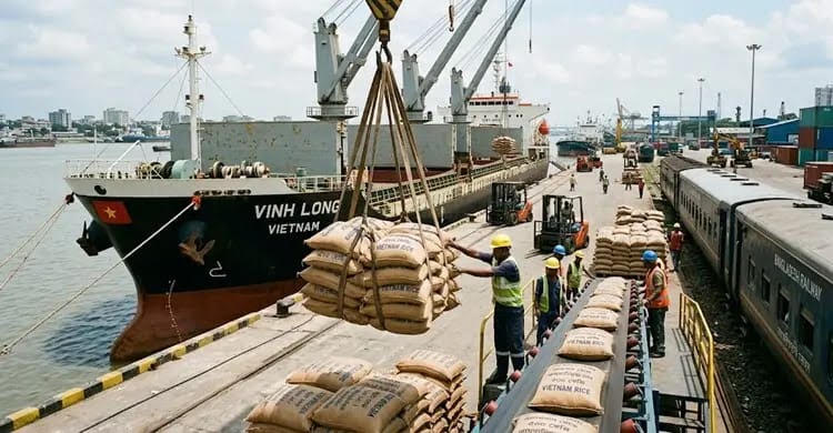 Harmful aflatoxins not found in imported Indian rice: It is 